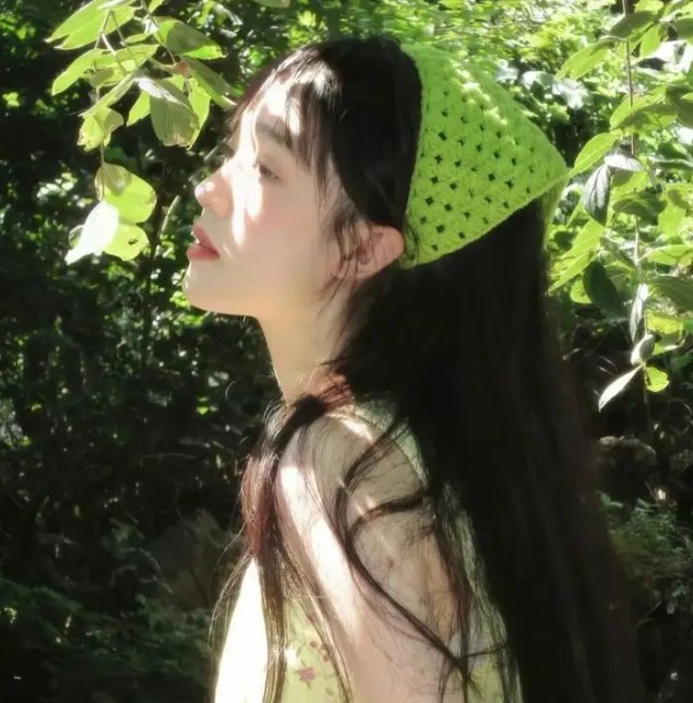 狮路历程